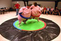 sumo